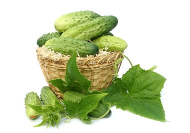 Cucumbers in a yellow wum basket clipart