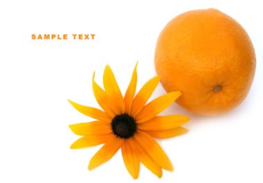 portakal ve bir çiçek