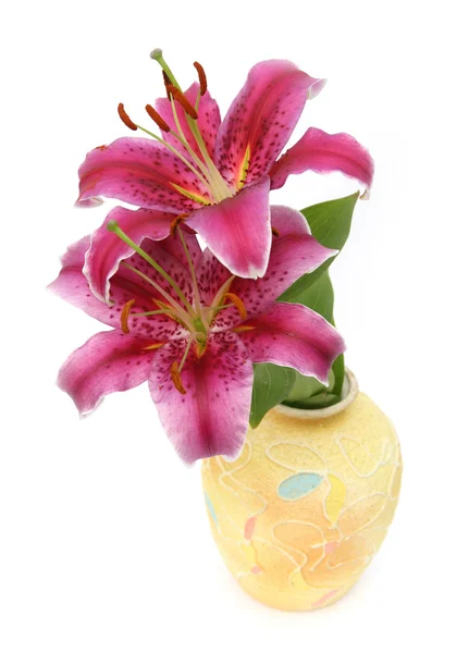 Liljer i en gul vase - Stock-foto
