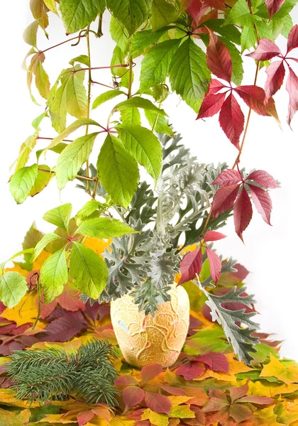 Autumn bouquet in yellow vase — Stock Photo, Image