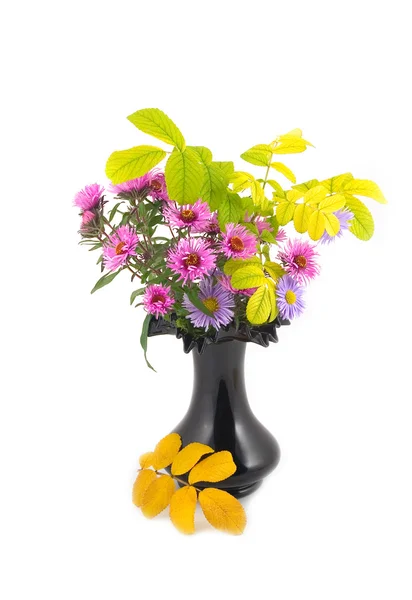 Autumn flowers in black vase — Stock Photo, Image