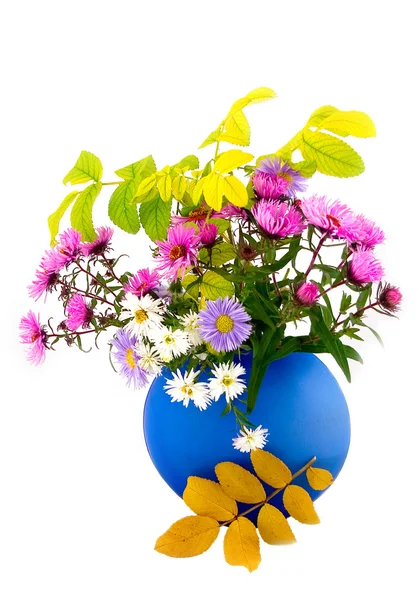 Autumn flowers in blue vase — Stock Photo, Image