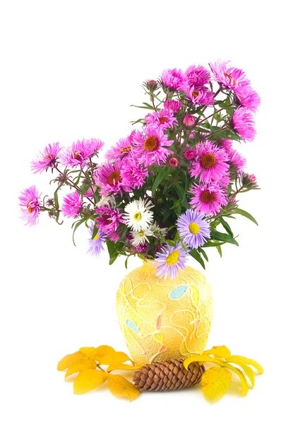 Automne en vase jaune — Photo