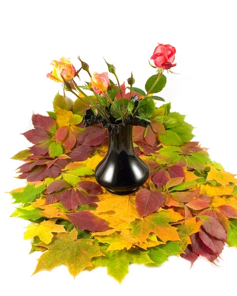 Outono rosas vaso preto — Fotografia de Stock