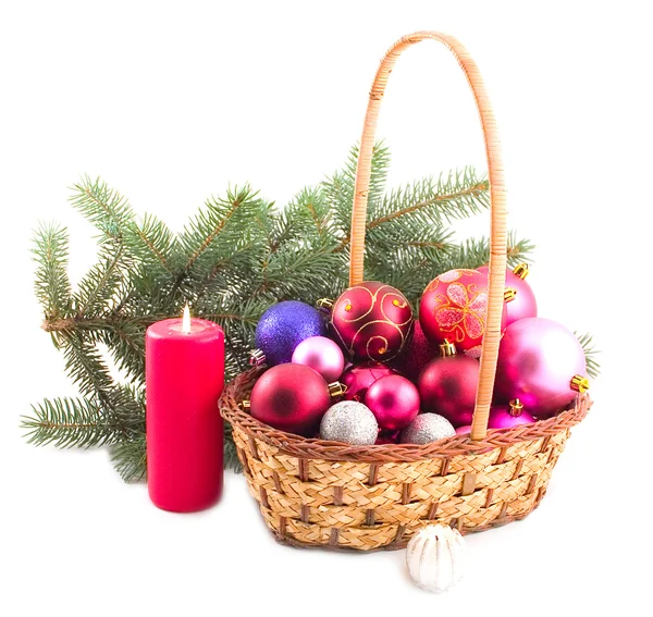 Basket and green branch — Stock Photo, Image