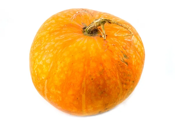 Grande bella e utile zucca arancione — Foto Stock