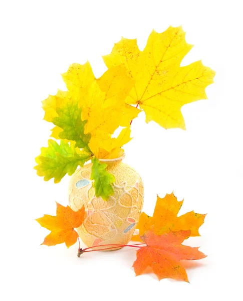 Bouquet from yellow autumn branches — Stock Photo, Image