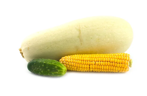 Mais und eine Gurke — Stockfoto