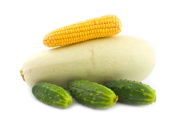 Maïs sur une moelle de légumes — Photo