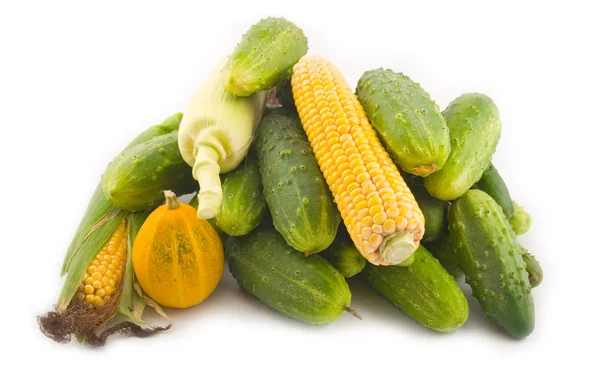 Los pepinos con el maíz y la calabaza — Foto de Stock