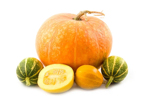 Decorative green and orange pumpkins — Stock Photo, Image