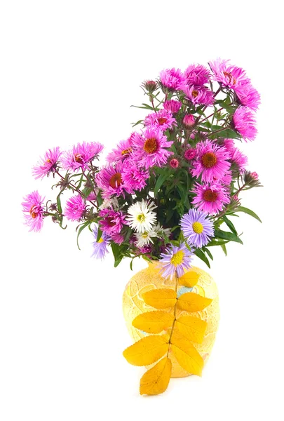 Цветы в жёлтой вазе — стоковое фото