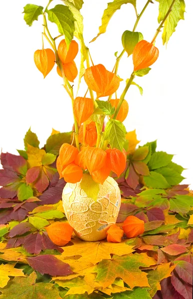 Virágok, gyümölcsök sárga vázában — Stock Fotó