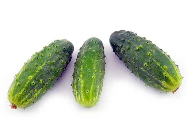 Зелений огірки — стокове фото