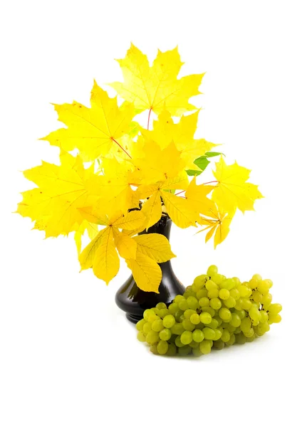 Green ripe grapes and black vase — Stock Photo, Image