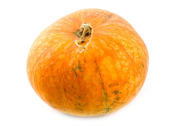 Ripe and useful pumpkin — Stock Photo, Image