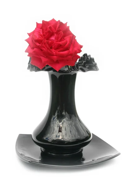 Rose dans un vase noir — Photo
