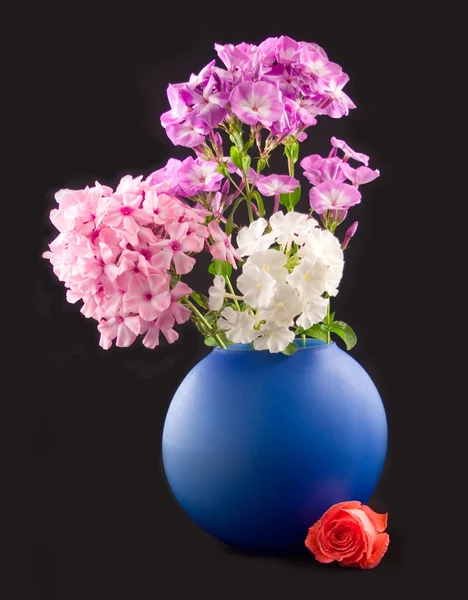 スカーレット ローズと色の花束 — ストック写真