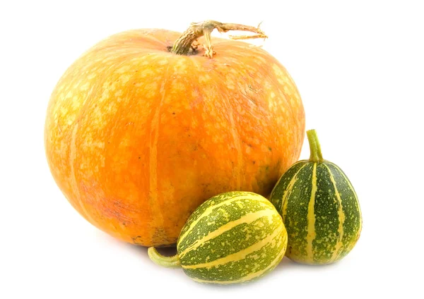 Striped decorative pumpkins — Stock Photo, Image
