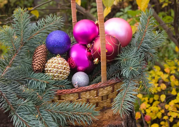 Spheres in basket on birch stub — Stock Photo, Image