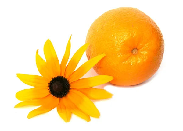 Жовта квітка і апельсин — стокове фото