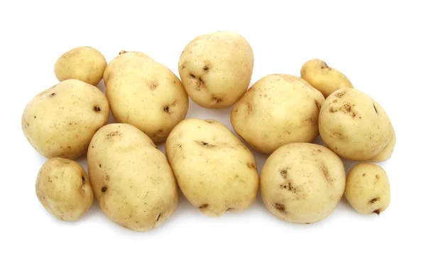 stock image Young potato