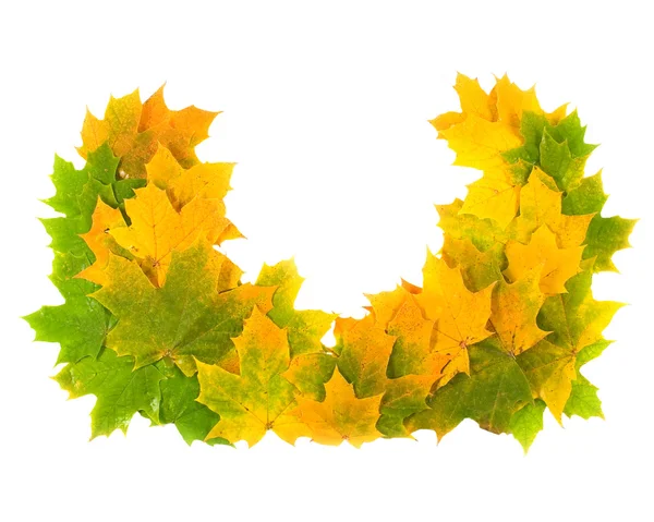 Wreath from maple leaves — Stock Photo, Image
