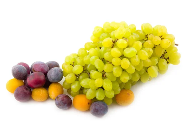 Yellow plum and prunes with grapes — Stock Photo, Image