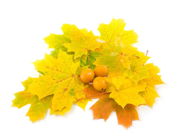 Yellow tasty plum — Stock Photo, Image