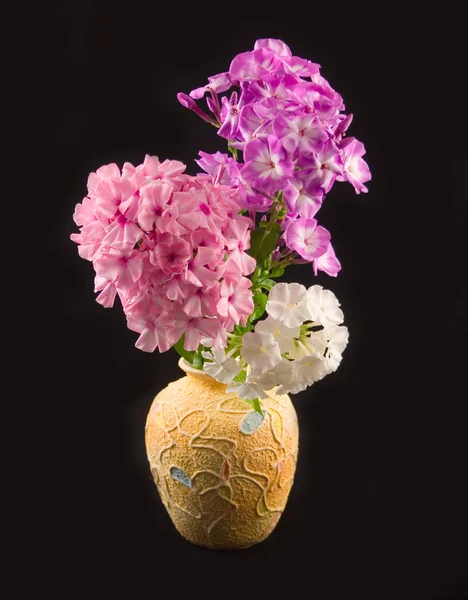 Yellow vase with phloxes — Stock Photo, Image