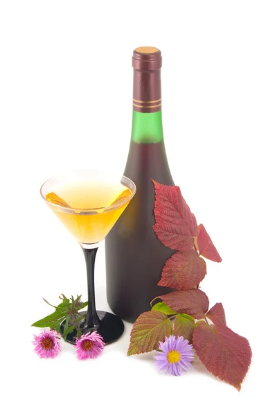 Flaska och hösten blad med färger — Stockfoto