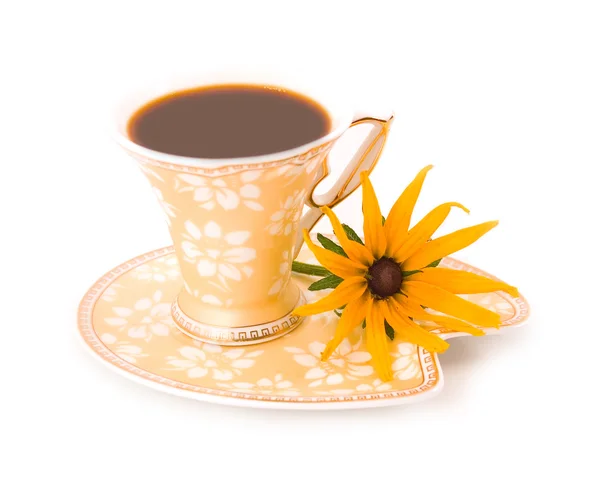 Camomile and beautiful cup from coffee — Stock Photo, Image