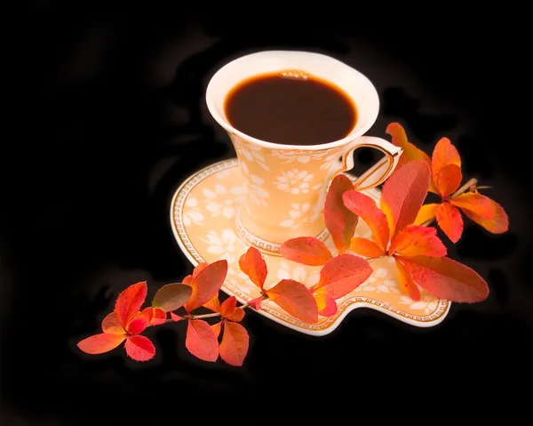 Чашка кофе с осенней веткой — стоковое фото