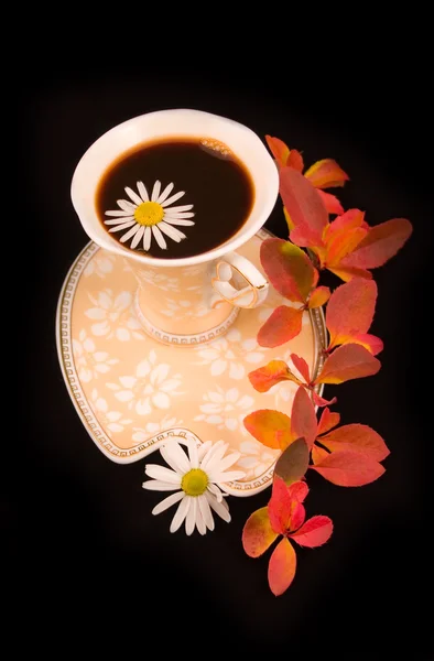 Квітка красива в каві — стокове фото