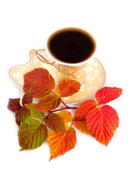 コーヒーからラズベリーとカップの葉 — ストック写真