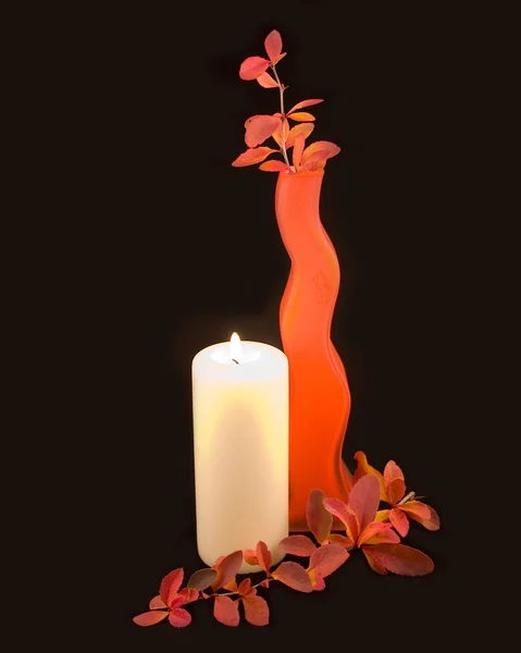 Váza s krásnou větev — Stock fotografie