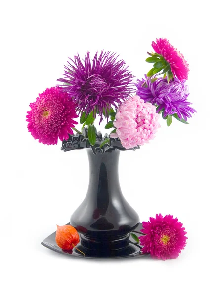 Krásná kytice Stock Obrázky