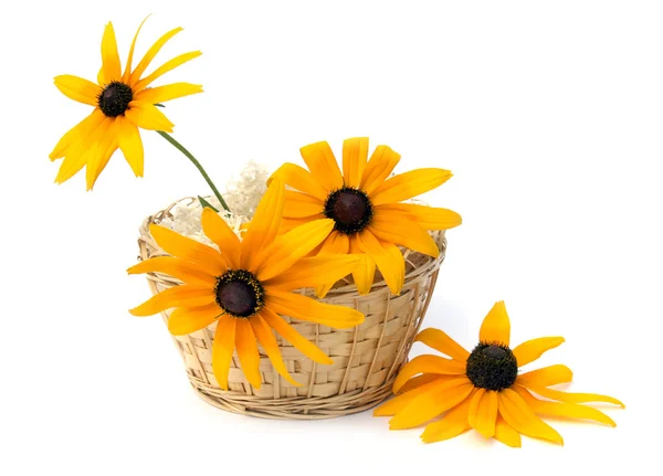 Flores em uma cesta Imagem De Stock