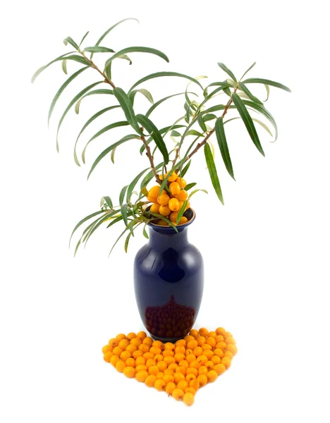 Vase avec branche de baies d'argousier Images De Stock Libres De Droits
