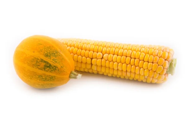 Żółty kukurydza z pumpkin żółty Obrazy Stockowe bez tantiem