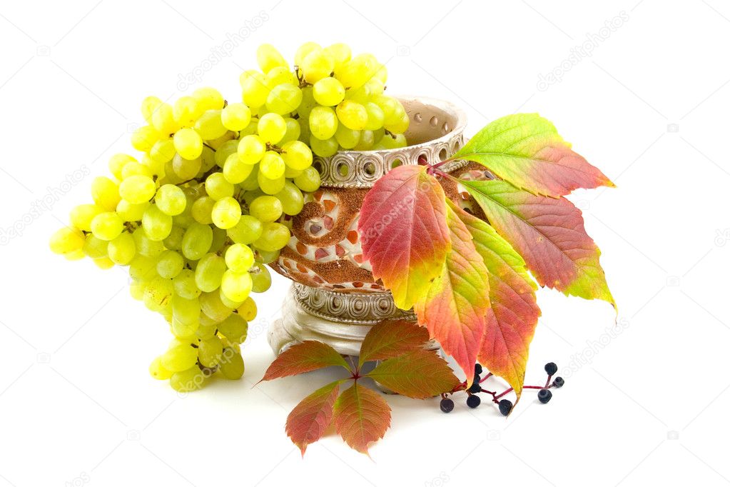 Cultural and wild grapes