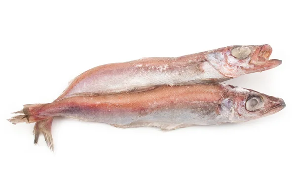 Замороженная рыба — стоковое фото