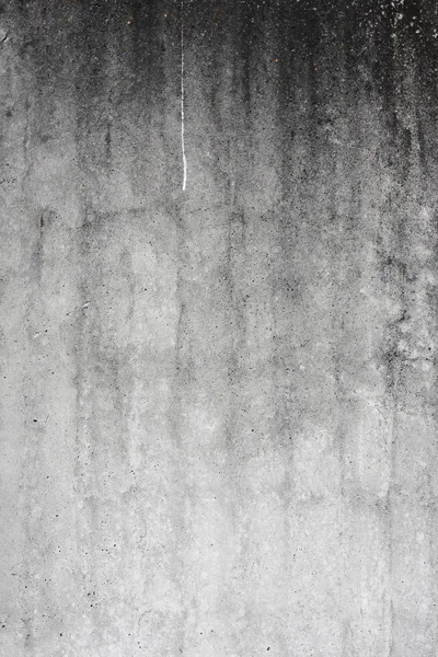 stock image Concrete background