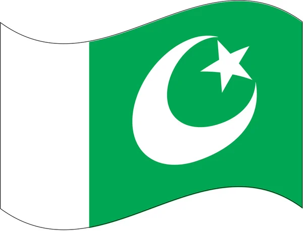 Flag_pakistan — Stok Vektör