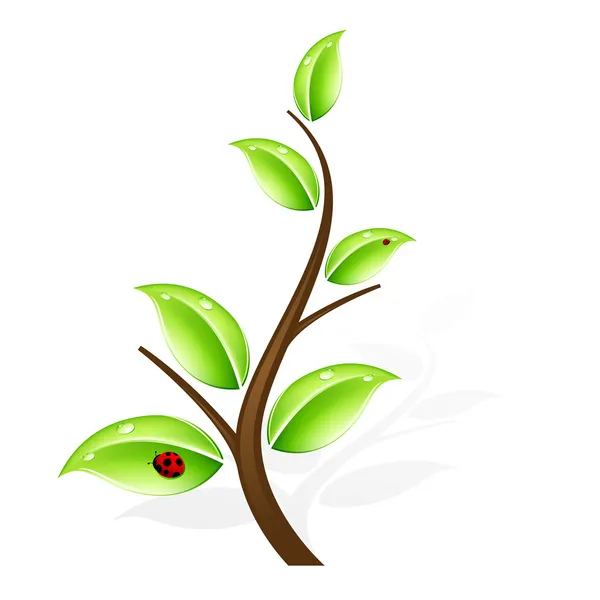Abstract green tree — Stock Vector