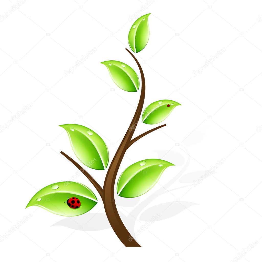 Abstract green tree with ladybug and shadow