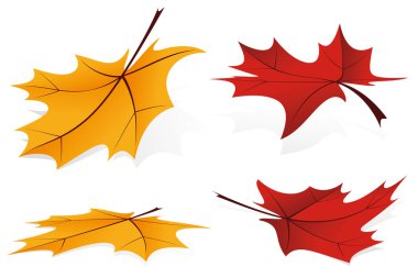 Falling leafs icon set clipart