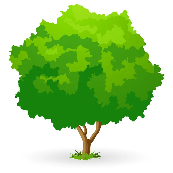 Πράσινο δέντρο — Διανυσματικό Αρχείο