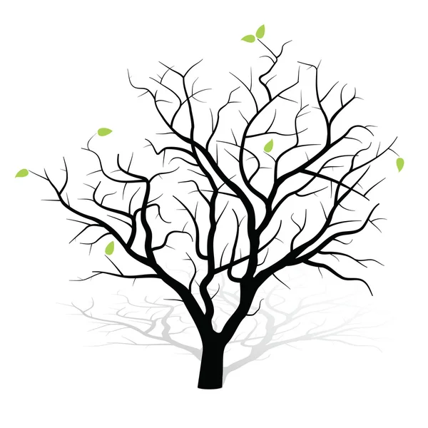 Oživil strom — Stockový vektor