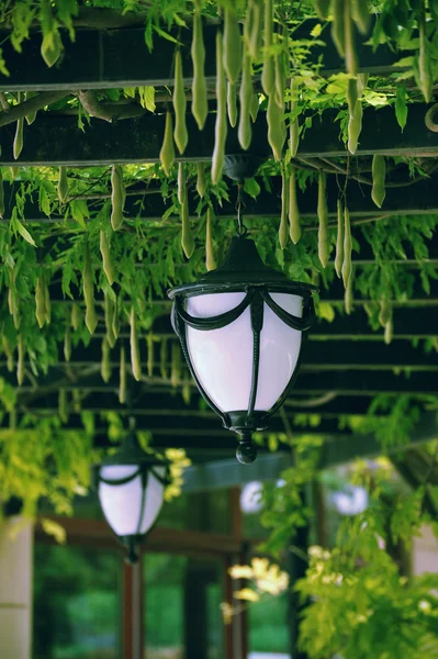 stock image Garden lantern